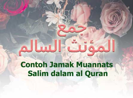 contoh jamak muannats salim