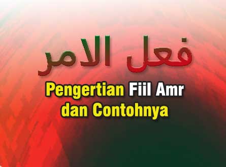 fiil amr