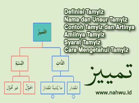 tamyiz