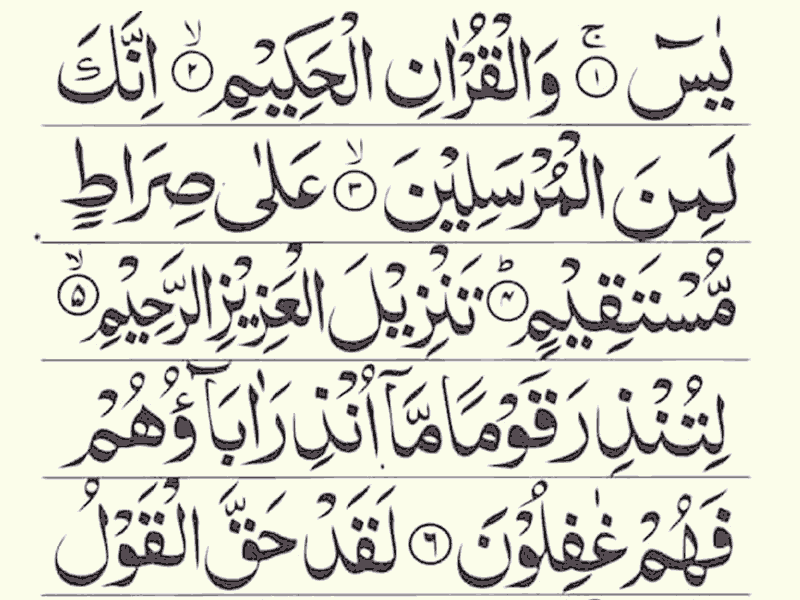 surah yasin full arab dan latin