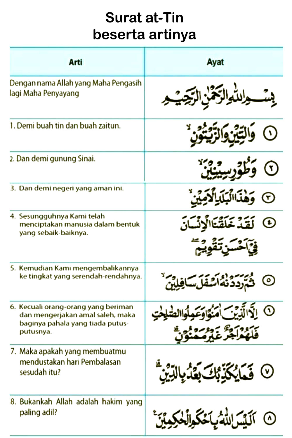 Gambar Surat at Tin dan Artinya